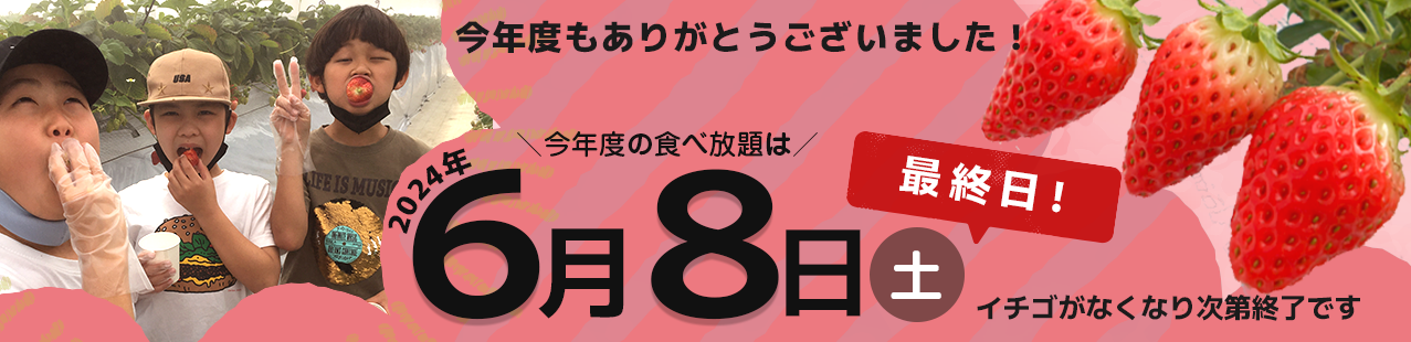 2024年6月8日最終日