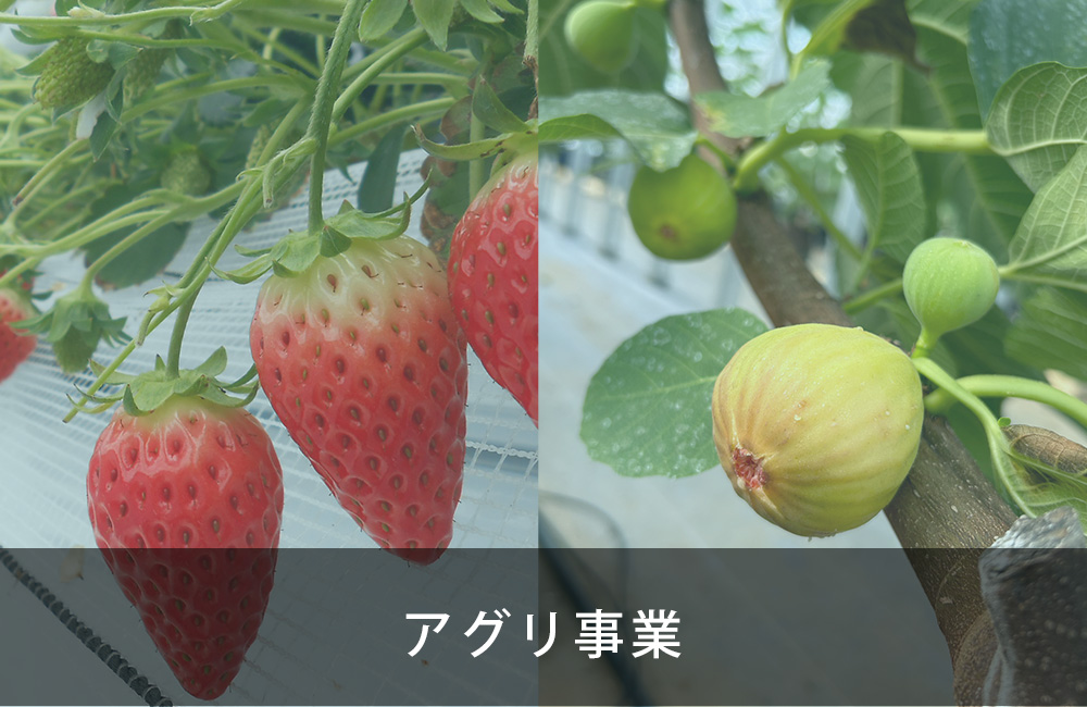 アグリ事業