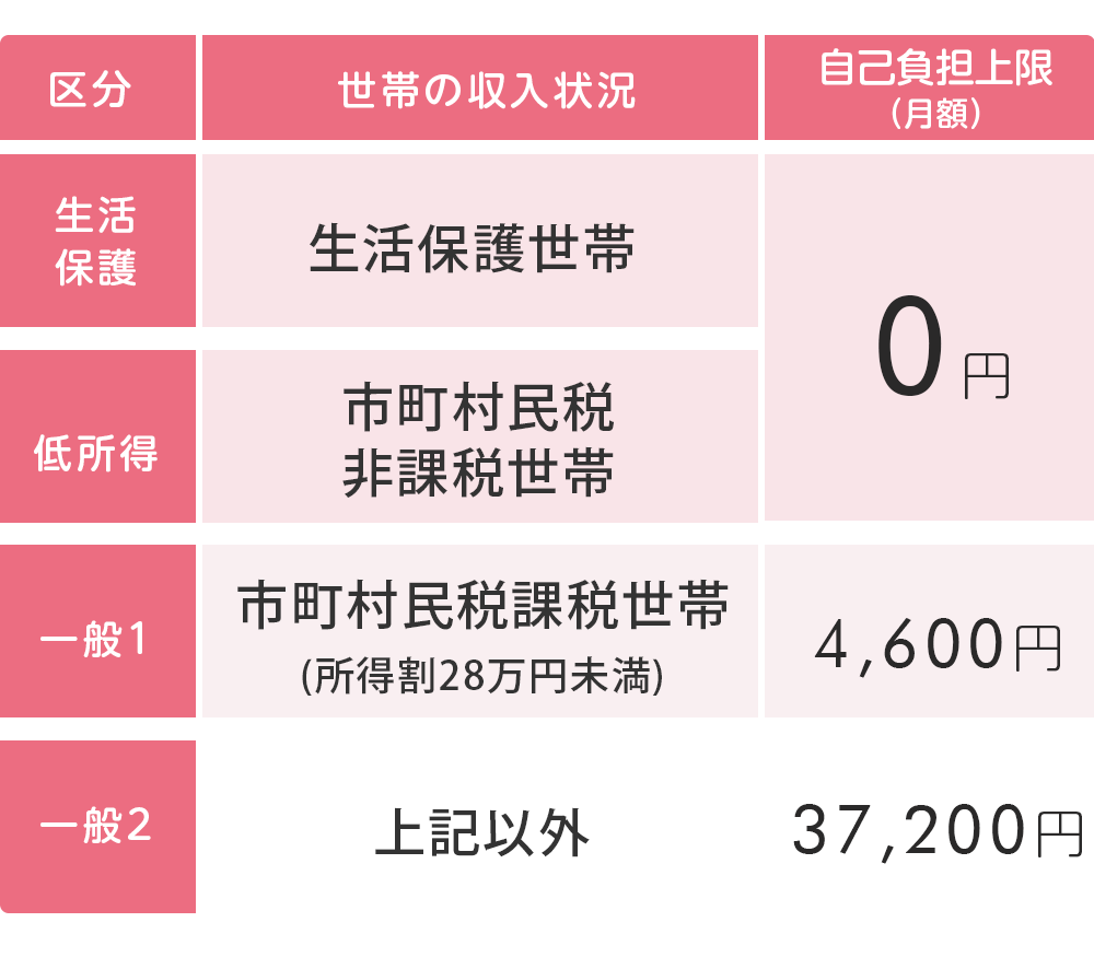 １か月の自己負担上限額