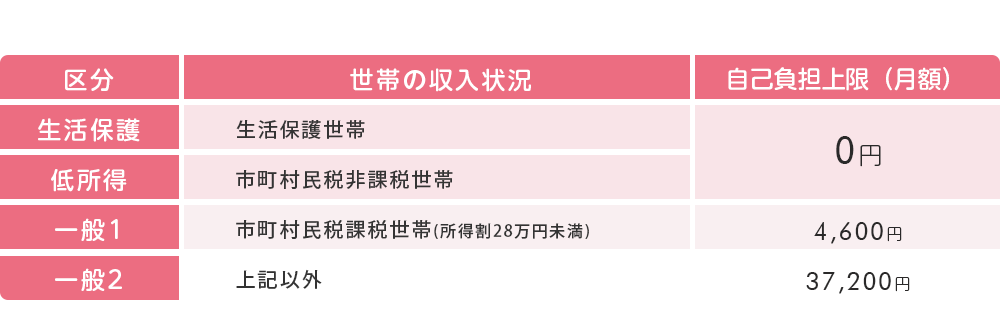 １か月の自己負担上限額